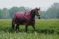 Preview: Equitheme "TYREX 1200D", 50g, Standard-Schnitt, Bordeaux